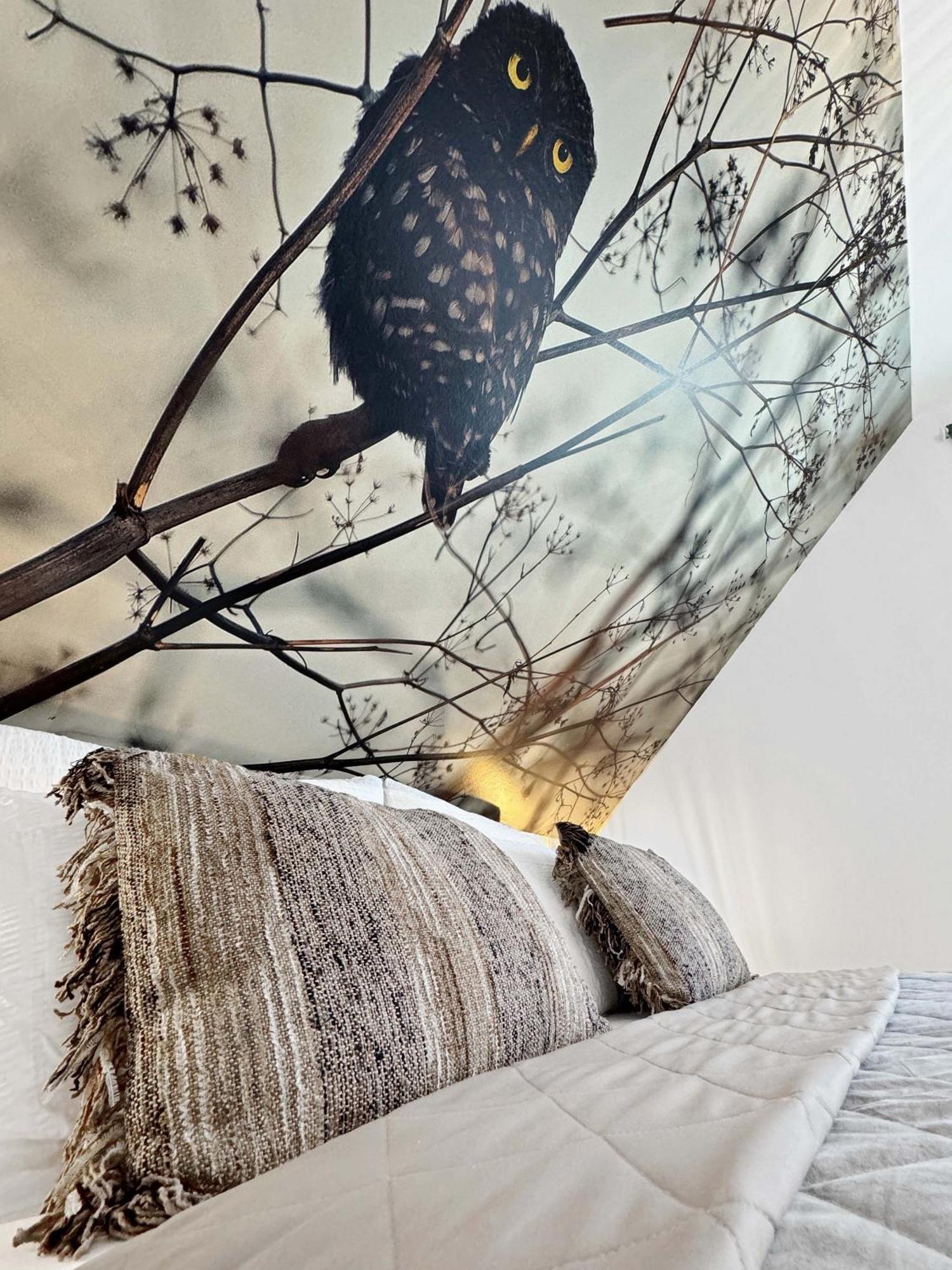 Cblue: Seeblick, Kamin, Wallbox, Natur Bentwisch Bagian luar foto
