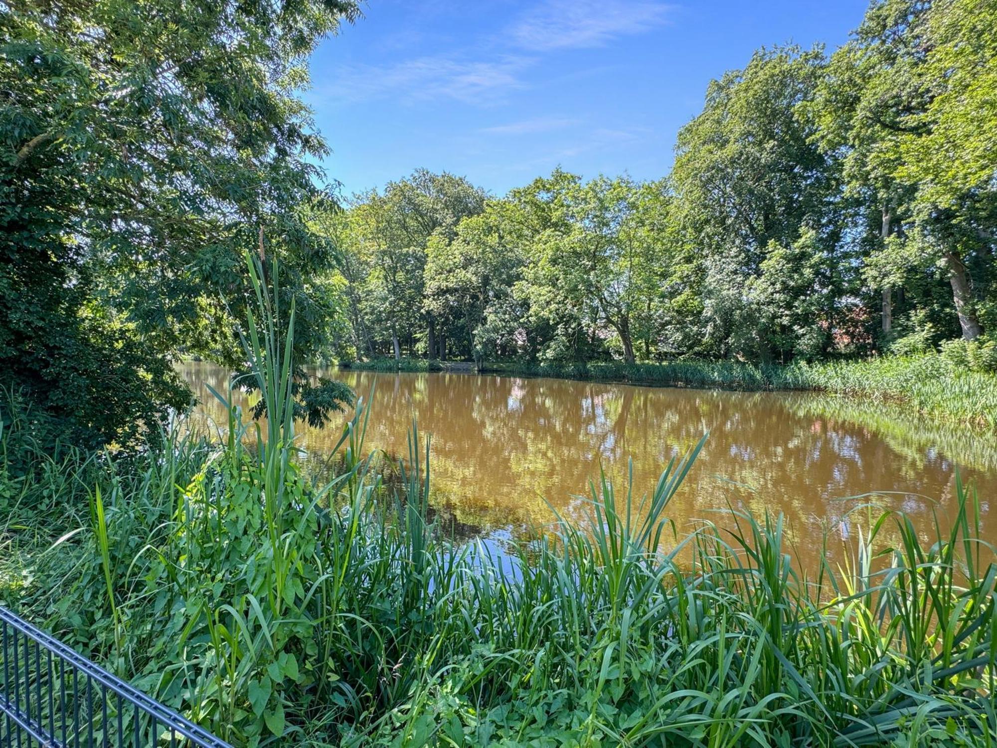 Cblue: Seeblick, Kamin, Wallbox, Natur Bentwisch Bagian luar foto
